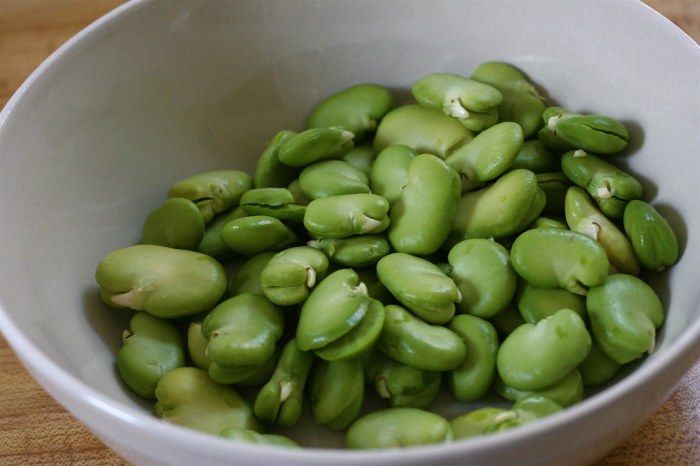 How to cook fava beans portuguese style