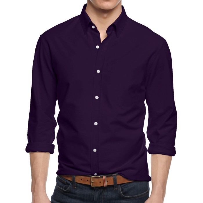 Men's button down long sleeve dress shirt