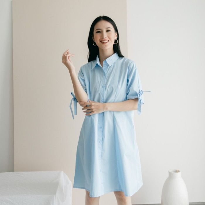 Women's shirt dress